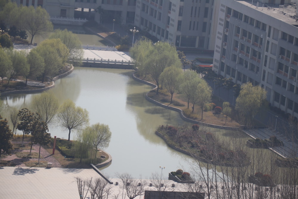 亳州学院春日鸟腑组图
