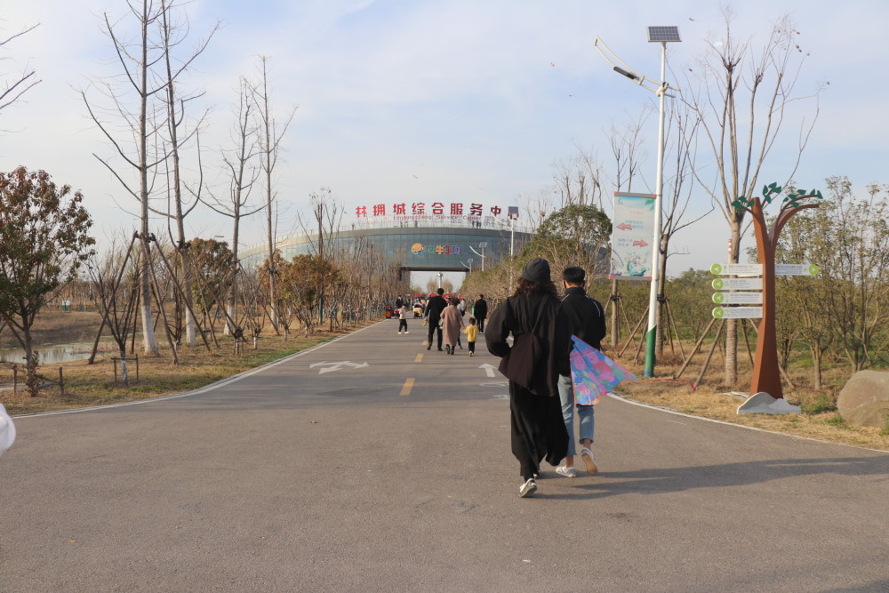 亳州林拥城水库放风筝是好地方