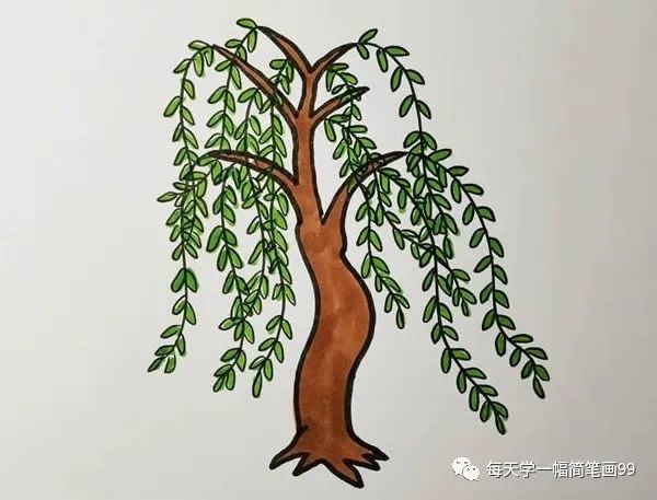 步骤四:将柳树的树干整个涂成棕色,越往下靠近根部颜色越深厚.