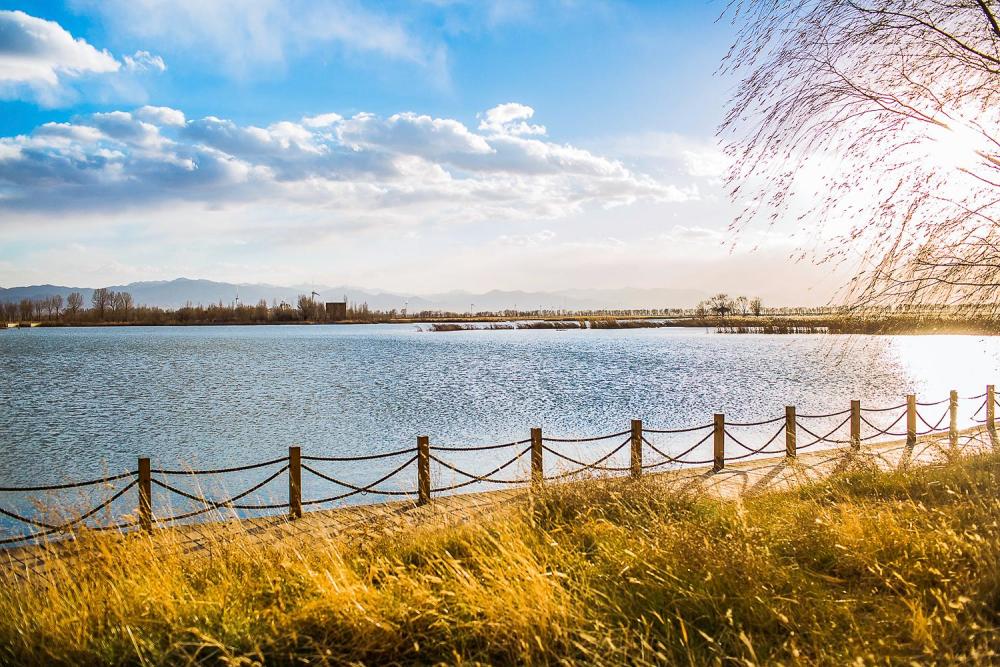 野鸭湖,湿地保护区,延庆区,候鸟栖息,自然景观