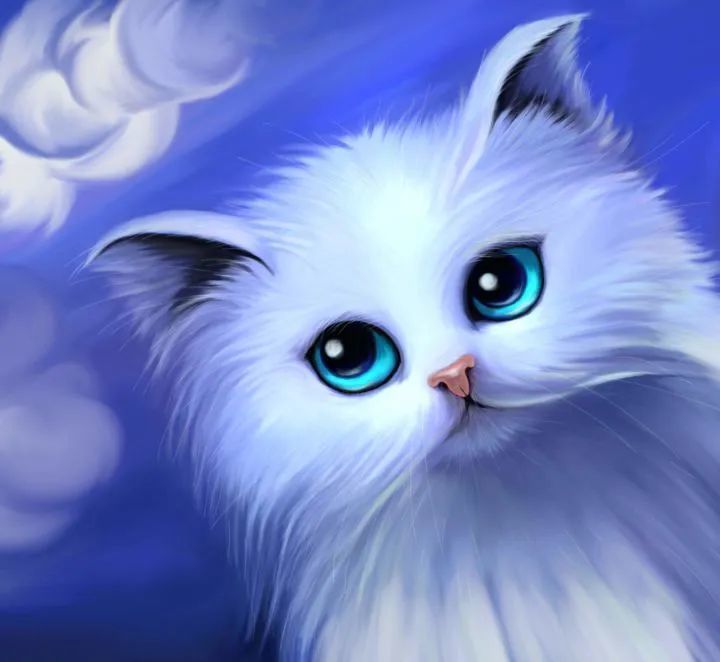知乐日记:猫天使,神圣的守护和陪伴