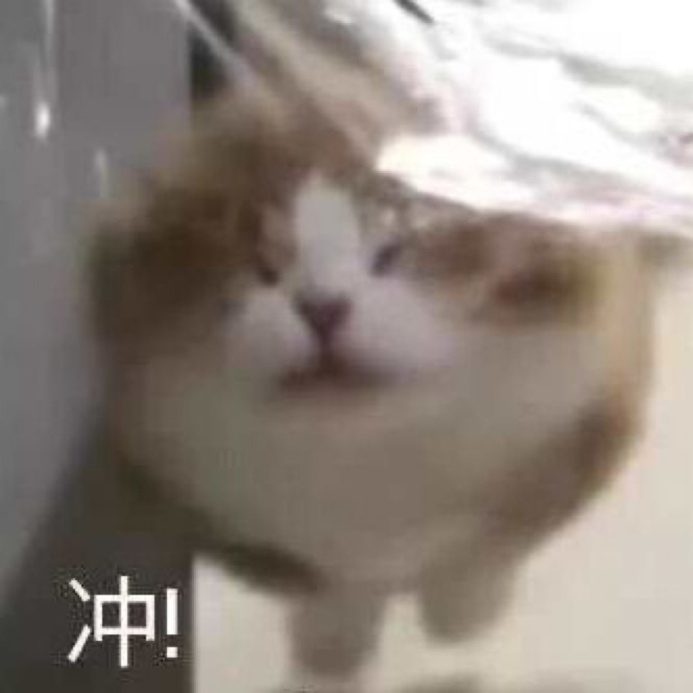 表情包:不敢说话