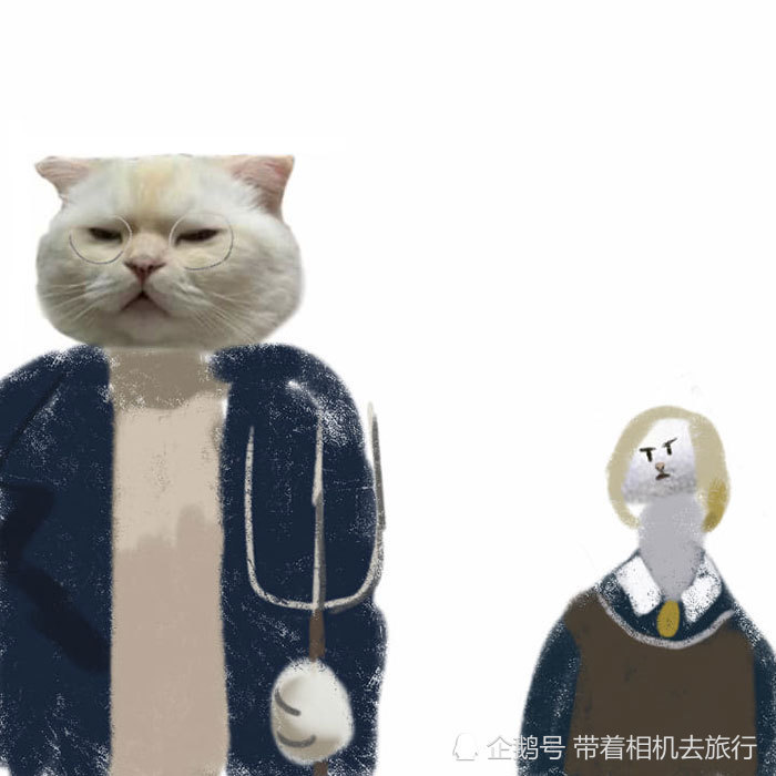 猫咪,哈利波特