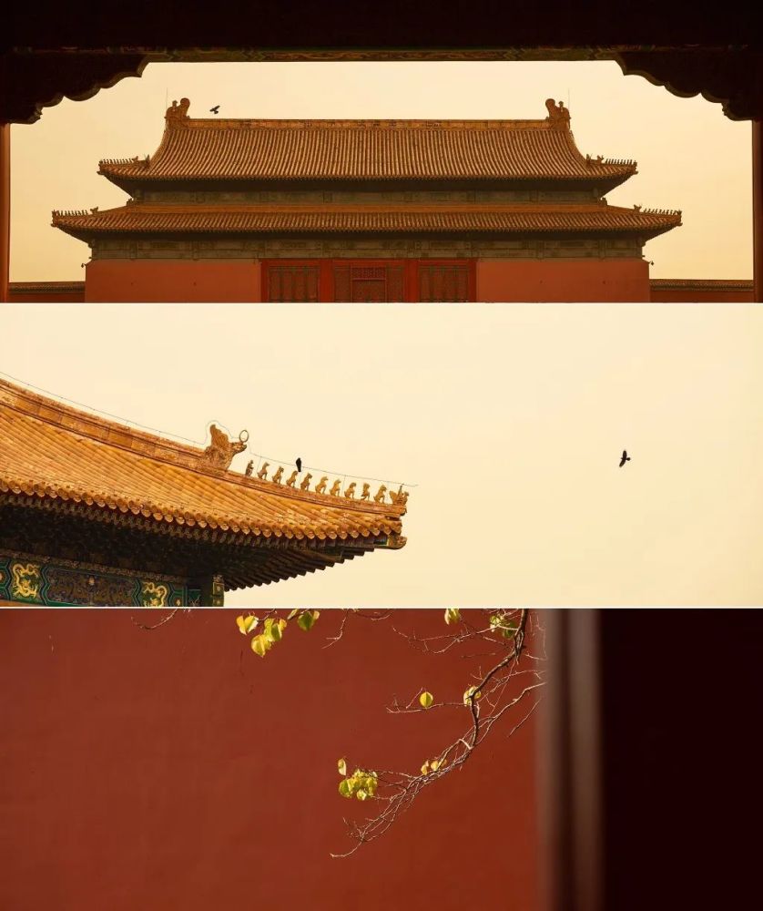 他拍的故宫获千万人次浏览!这位摄影师的镜头里,有一个诗意的中国