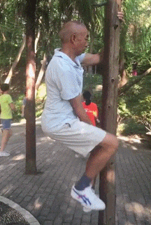 2.大爷威风不减当年啊!