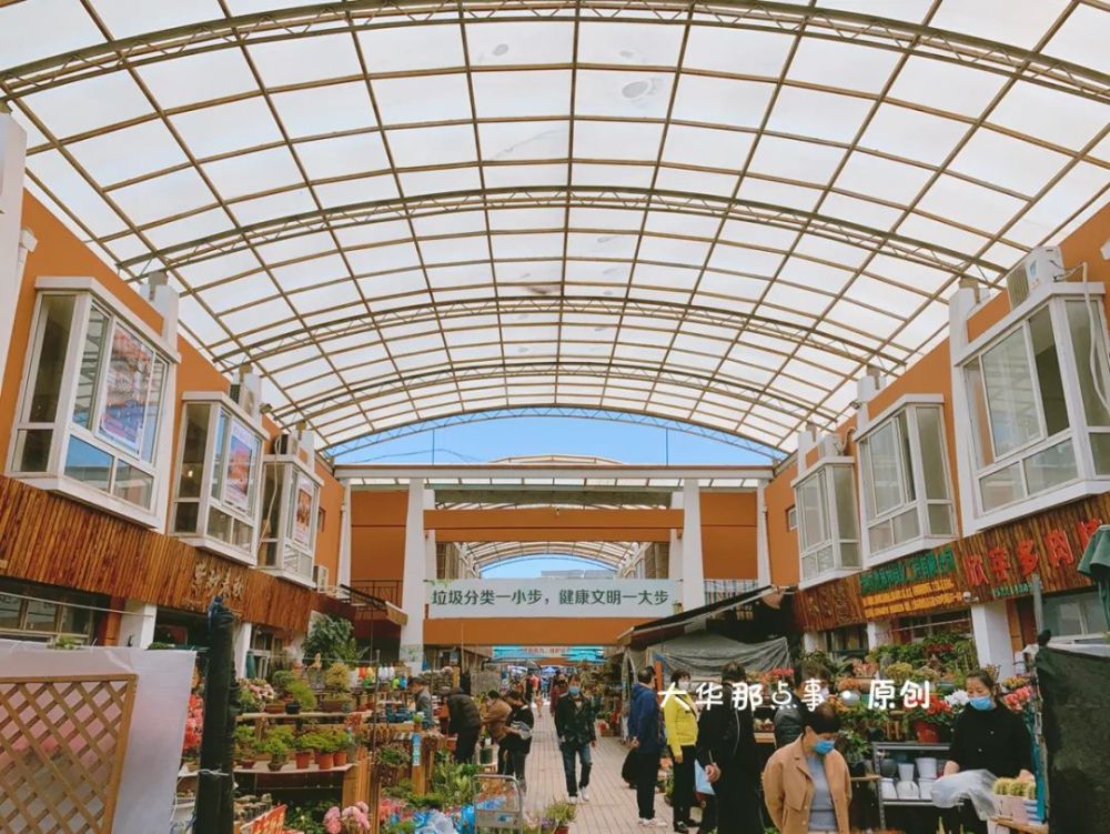 岚灵花鸟市场今日复市!