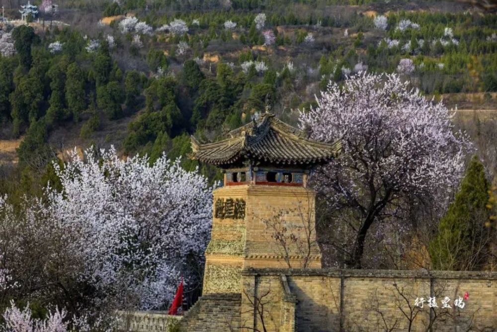 花海,宝鸡,岐山周公庙,凤凰山