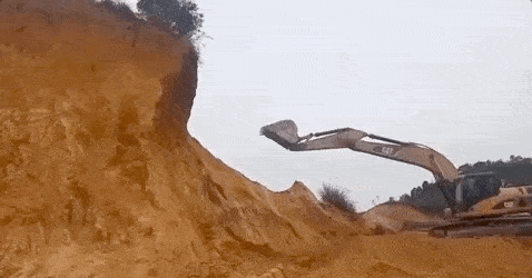 10大动图:龟兔赛跑的故事是真的