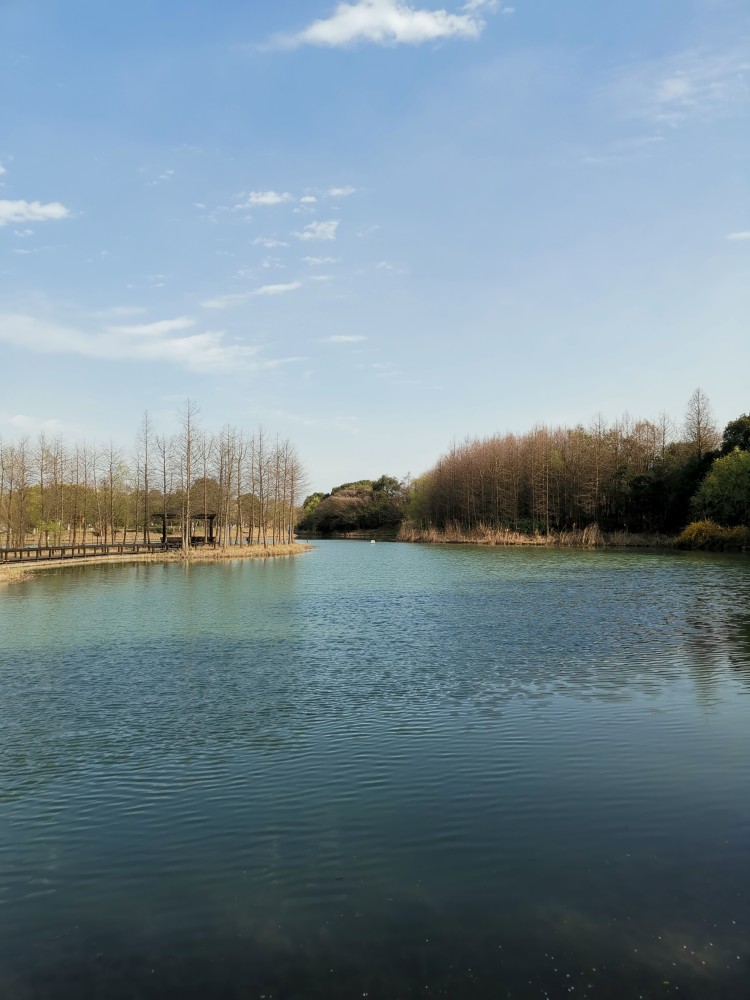 远眺梁鸿湿地公园