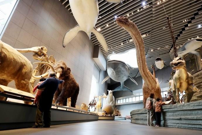 3月13日,游客在上海自然博物馆内参观游览.新华社/图