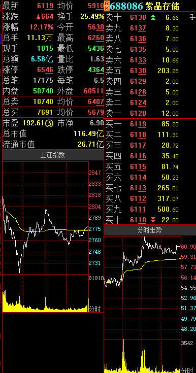 紫晶存储,安恒信息双双涨超10%!