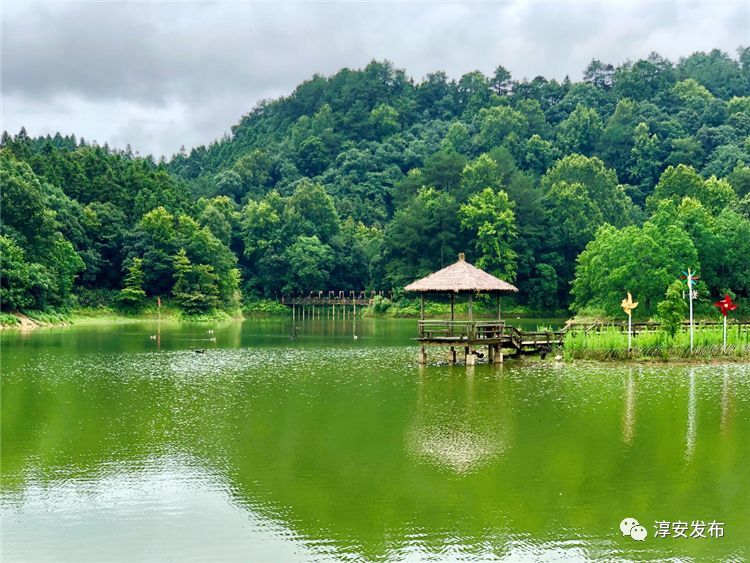 龙川湾景区