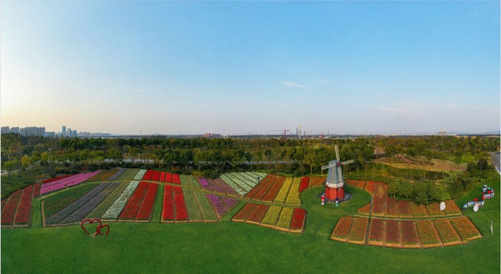 本周,宁波植物园招牌花事"浪漫樱花季"即将开启