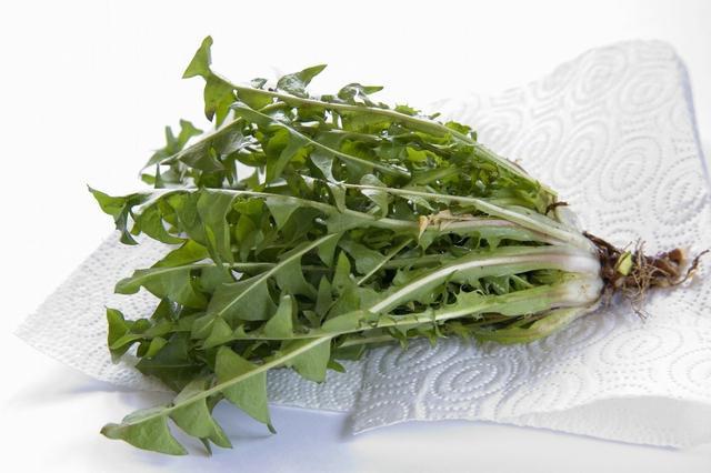 春天,这4种野菜别错过,比菠菜嫩,比萝卜补,正当季要多