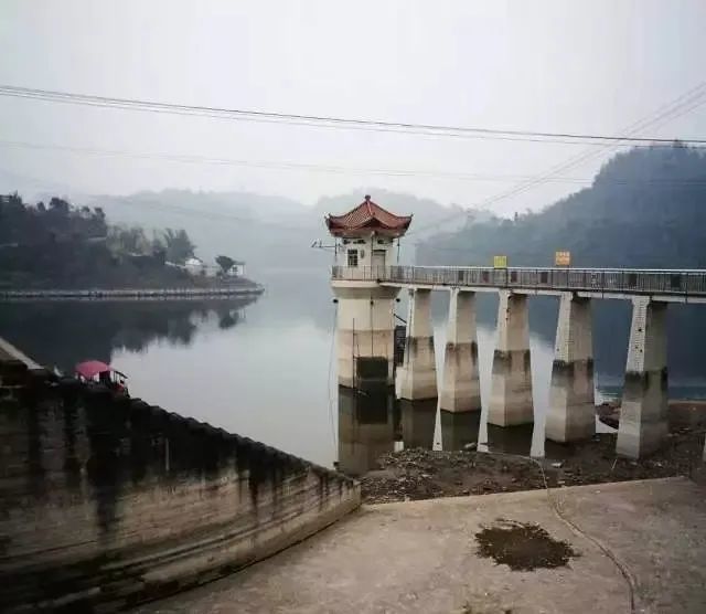 大足区,禁渔,上游水库,濑溪河