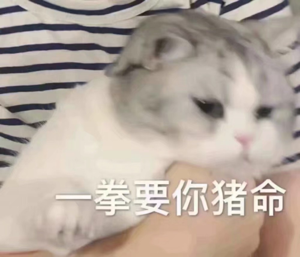 2020-03-17-脸蛋漂亮的猫,明星美照,饭制视频,微小说,美图,gif只要你