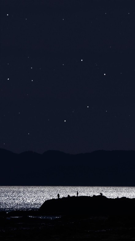黑夜也是很美啊 前提是月光下的黑夜,无水印壁纸分享