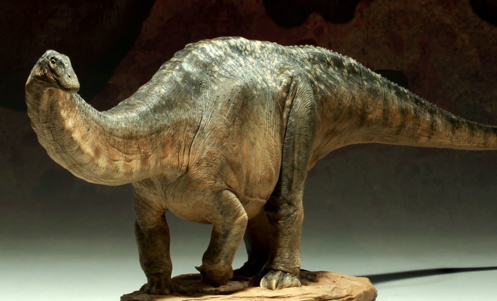 2020巨型蜥脚类恐龙排行榜