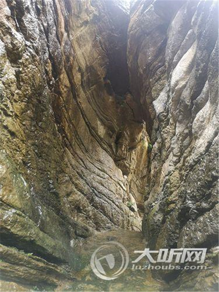 古蔺县大黑洞景区恢复开放 对医护人员免票