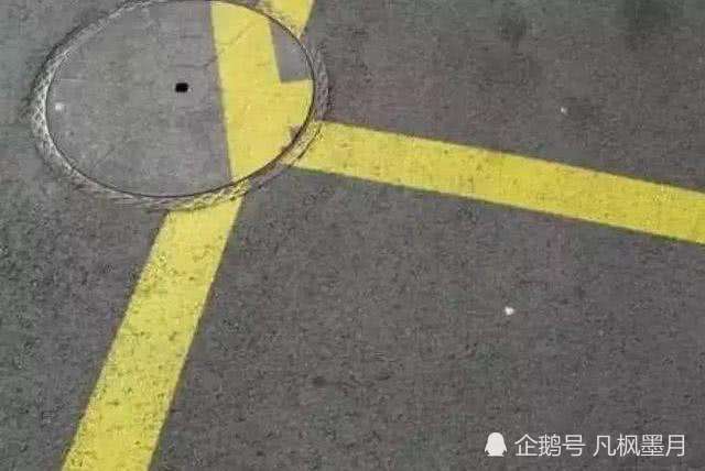 强迫症请看这里,超治愈系图片!