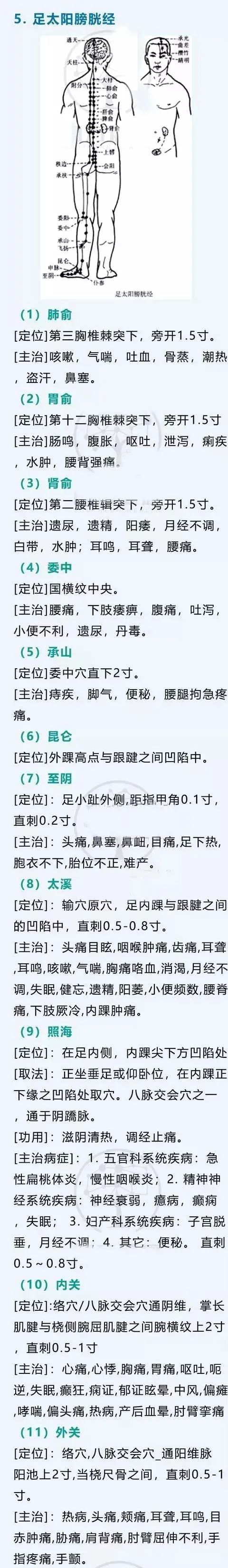 6. 足少阳胆经