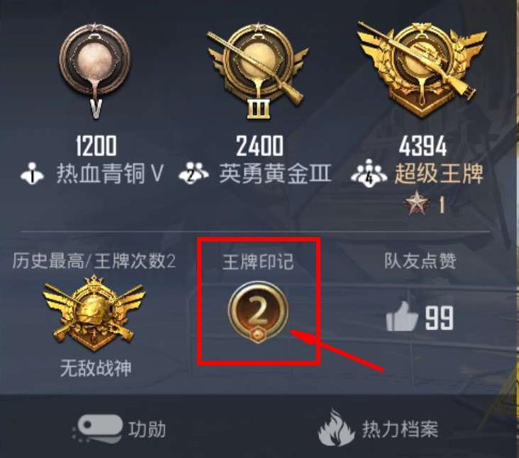 和平精英,吃鸡,绝地求生,刺激战场,pubgmobile