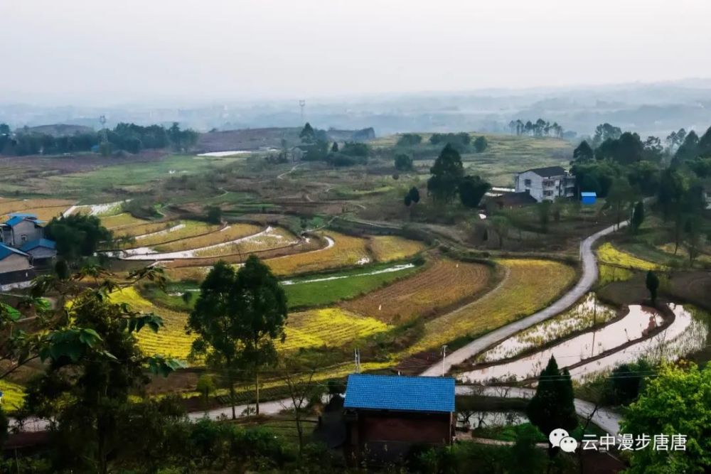 乡村旅游,人文古迹,故乡的原风景