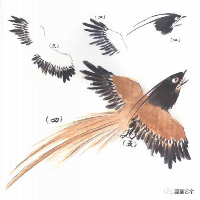 点垛画法红牡丹与蓝绶带鸟的章法组合
