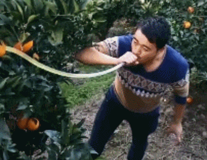 今日搞笑gif:既以背影赢天下,何必转身乱芳华