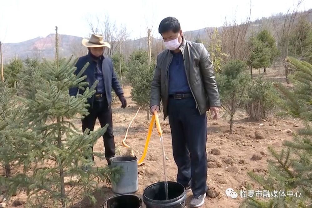 不负好春光 植树造林忙——临夏市春季造林工作有序展开