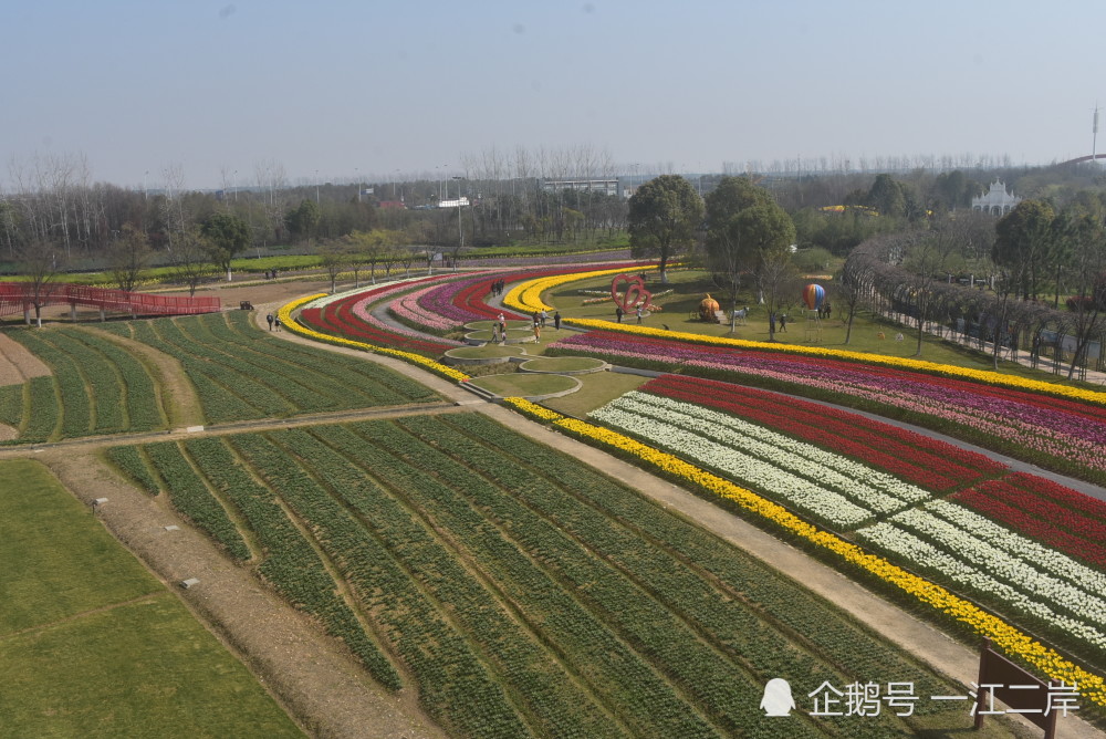 绍兴市上虞区海上花田免费开放中