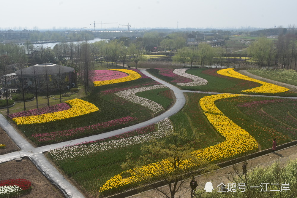 绍兴市上虞区海上花田免费开放中