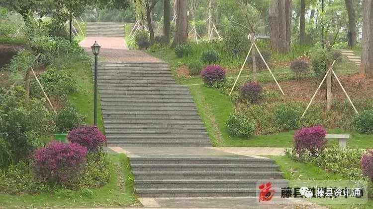 鸡谷山,藤县,挂榜岭公园