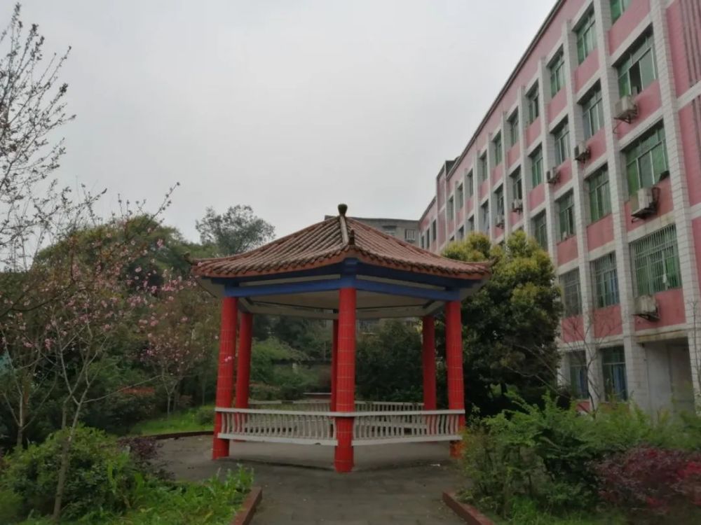 华蓥中学 九龙镇中