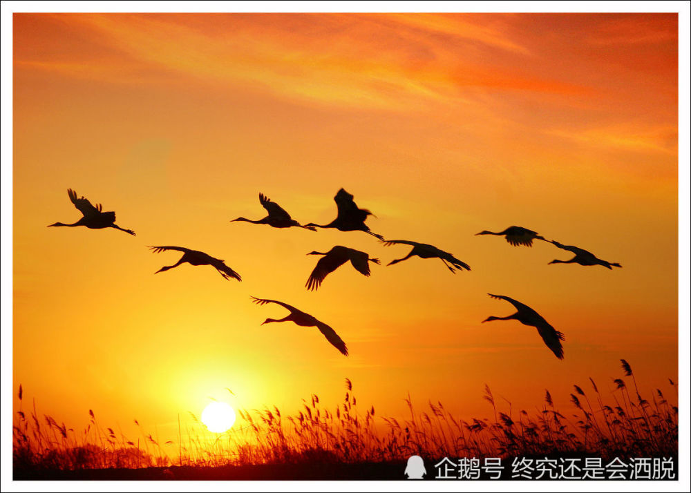 一封消失在内心深处的信:肖战,周深,王一博的彩虹屁,咦!