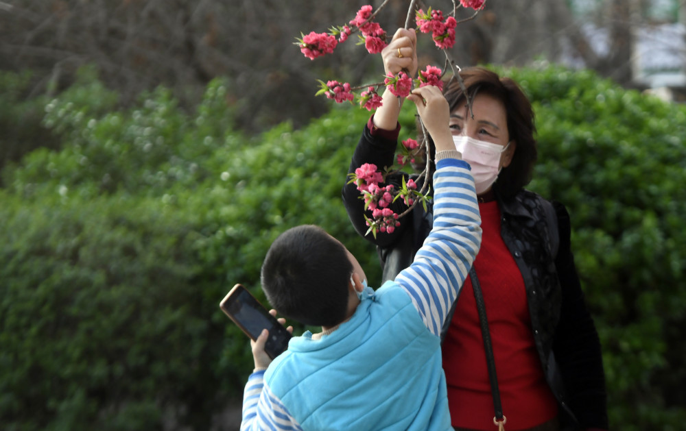 碧沙岗公园,发现有爬树,摘花,扯柳条等不文明游园行为,令人心情大打