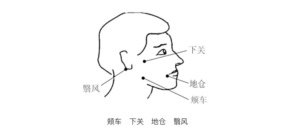 颊车,下关,地仓皆为面部俞穴,可疏调局部经脉气血,活血通络,濡养面肌