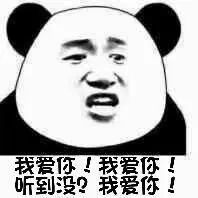 表情包:熊猫头,关于我爱你表情包