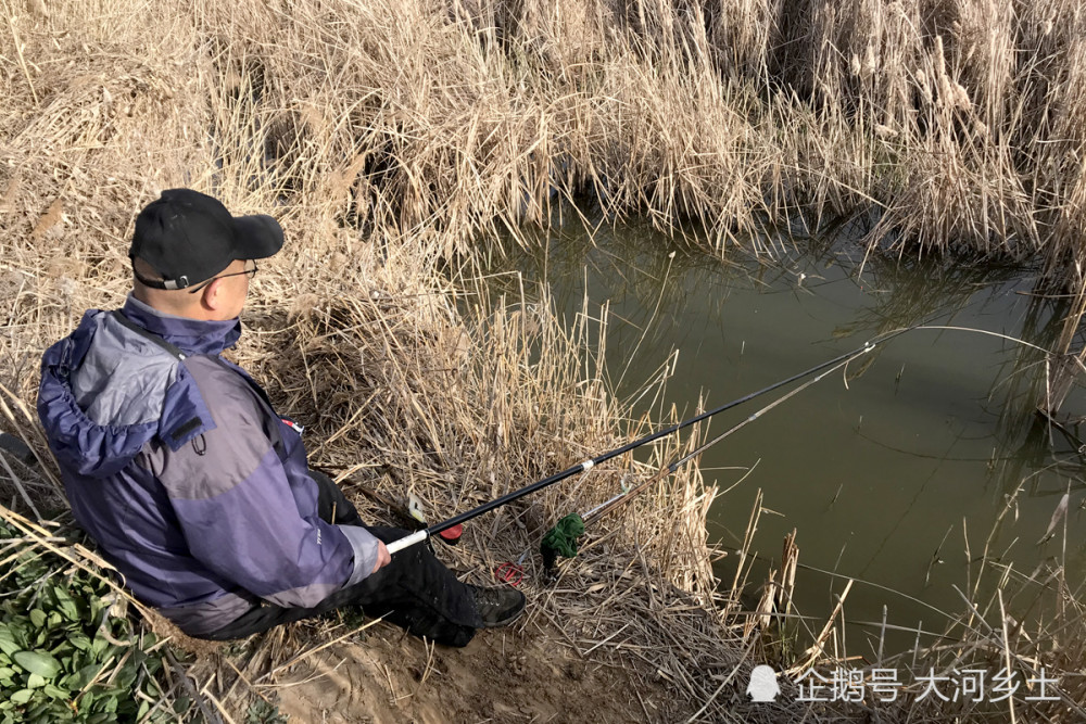 黄河滩草窝钓鱼,一个顿口拉上条8斤重野生金鲤鱼,杆竟然断了