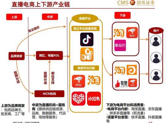 从这份让罗永浩决定做电商直播的调查报告,看电商直播