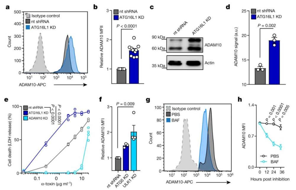 (fig 1)