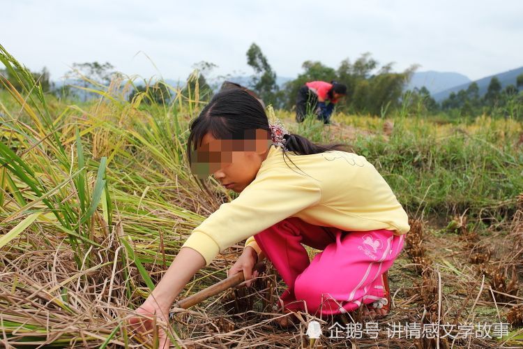 故事:农村8岁女孩帮奶奶卖菜,陌生男子买菜,假装肚子疼救了自己一命