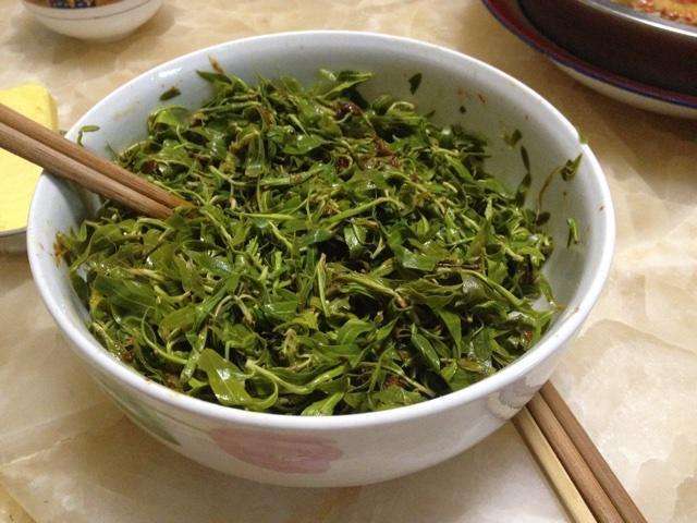 春季柳芽鲜嫩可口,这样保存起来,一年内都有柳芽吃