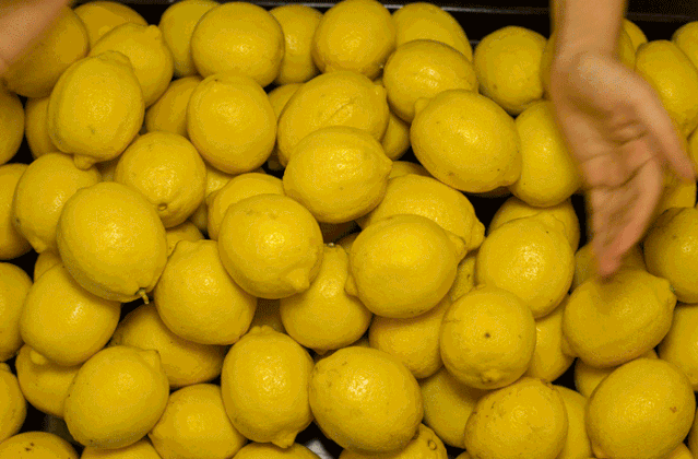 安岳柠檬滞销!现仅需9.9元/5斤!还全国包邮!