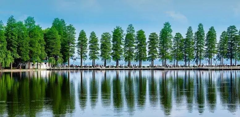 (图说:东湖绿道)