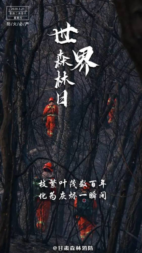 勿念葱林繁似海一星燃尽只尘埃 以下是一组森林防火警示海报 强化全民