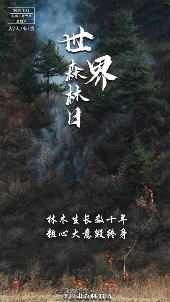 勿念葱林繁似海一星燃尽只尘埃 以下是一组森林防火警示海报 强化全民