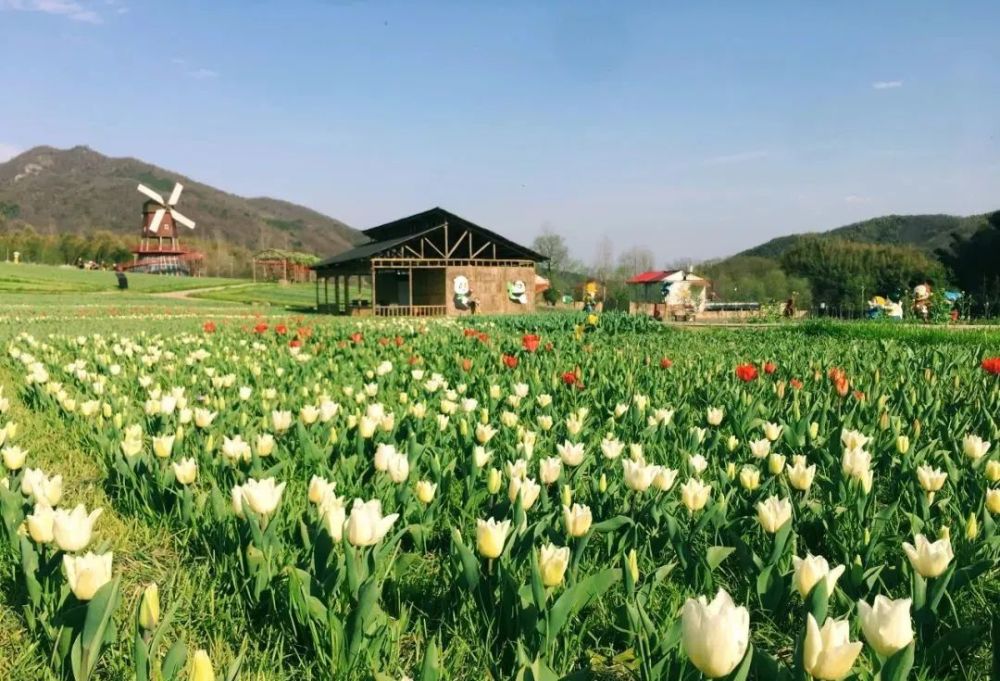 西九华山景区3月21日开园,花千谷免费门票任你抢