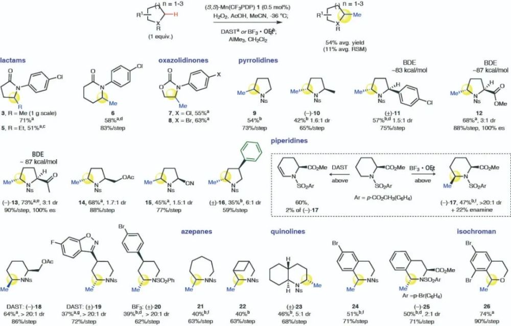 m.c.white组《自然》:杂环化合物的选择性α-c-h键氧化甲基化