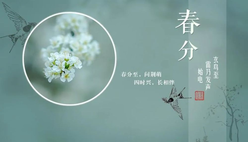 《花月正春分》——王雨剑春分诗词雅集九